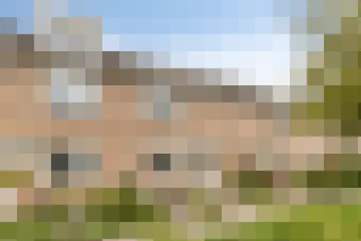 Fluitekruid 7 Abcoude thumbnail 33