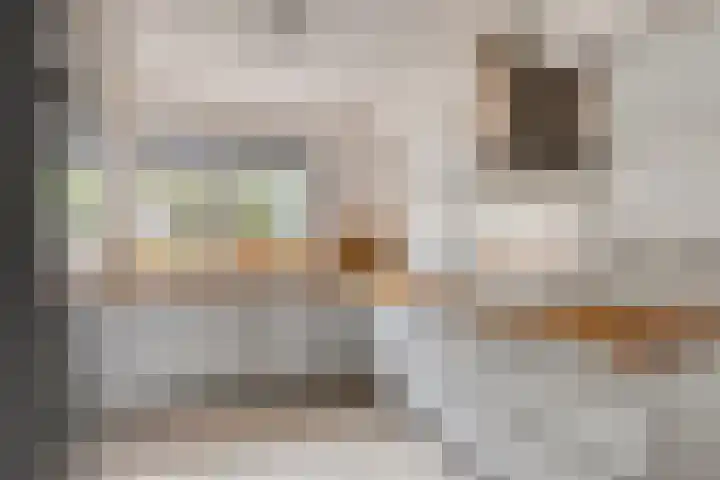 Fluitekruid 7 Abcoude thumbnail 6