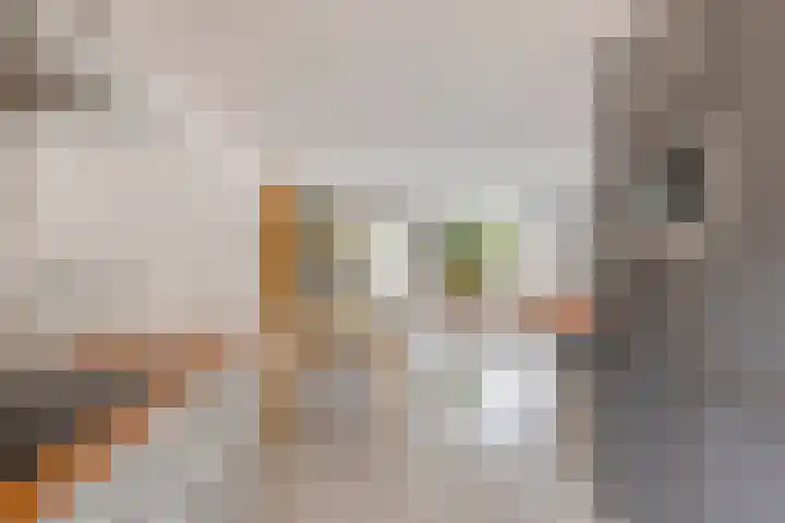 Fluitekruid 7 Abcoude thumbnail 8