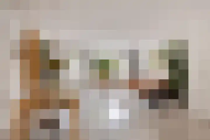 Fluitekruid 7 Abcoude thumbnail 9