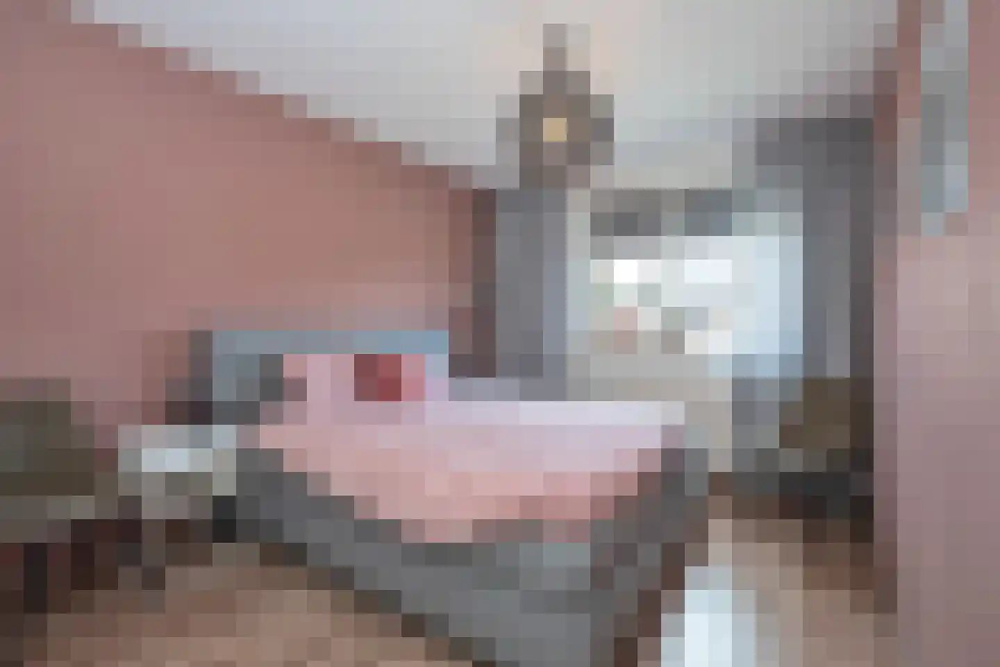 Fluitekruid 71 Rijssen thumbnail 16