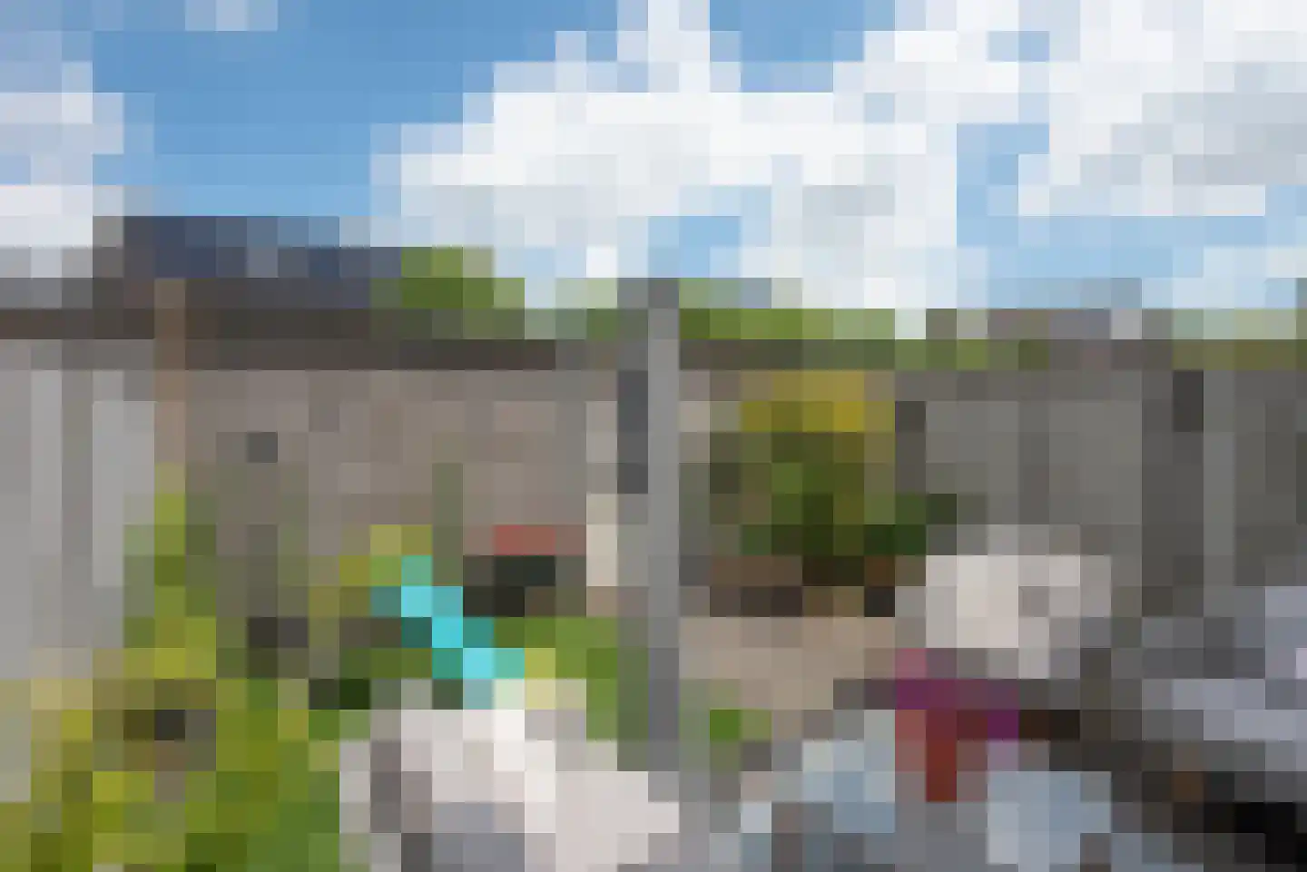 Fluitekruid 71 Rijssen thumbnail 24