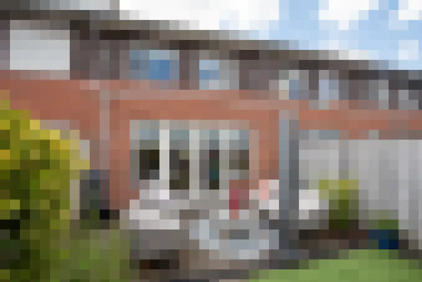 Fluitekruid 71 Rijssen thumbnail 25