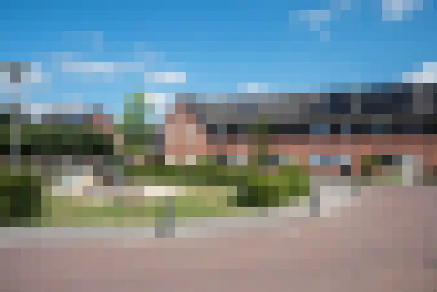 Fluitekruid 71 Rijssen thumbnail 27