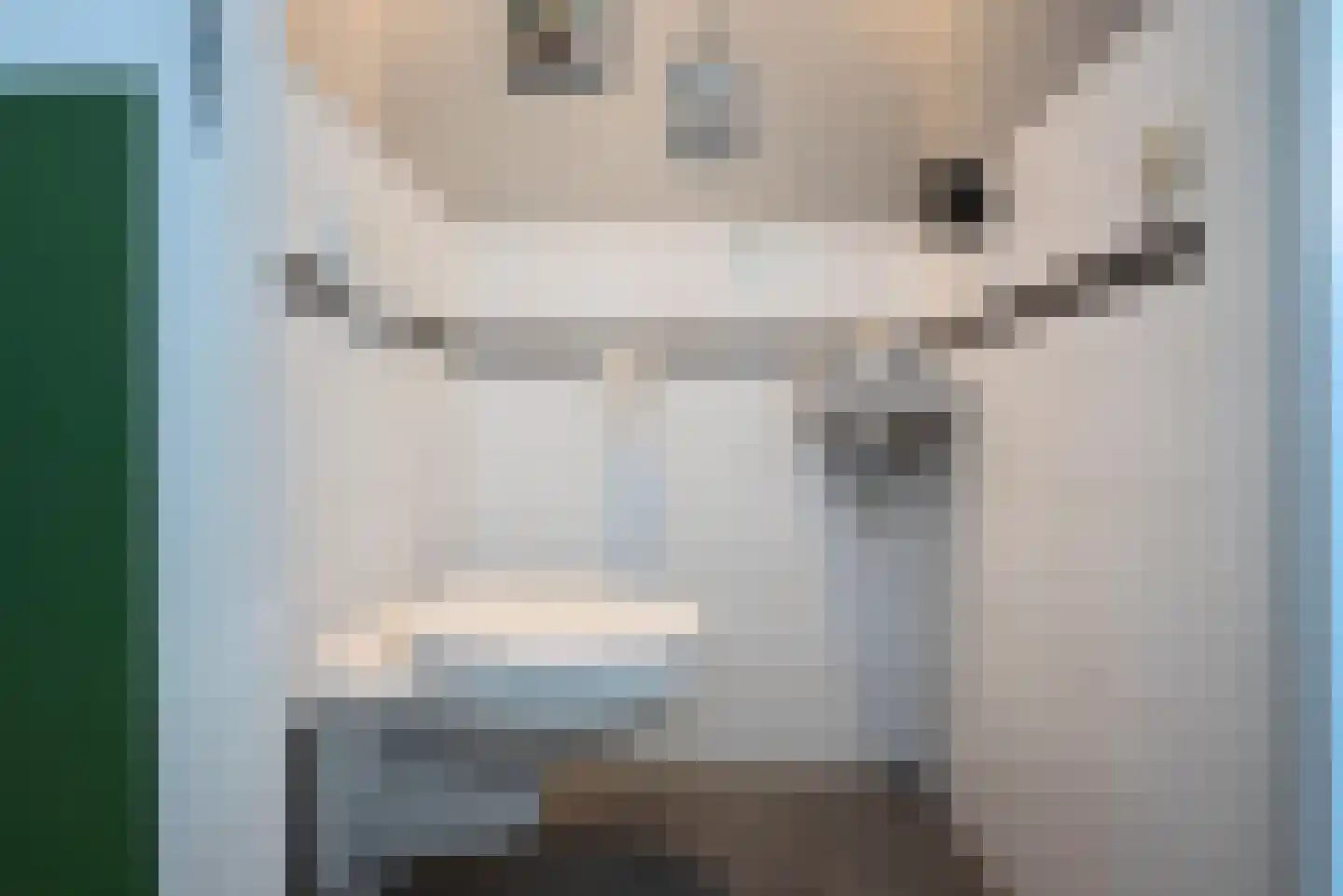 Fluitekruid 71 Rijssen thumbnail 8
