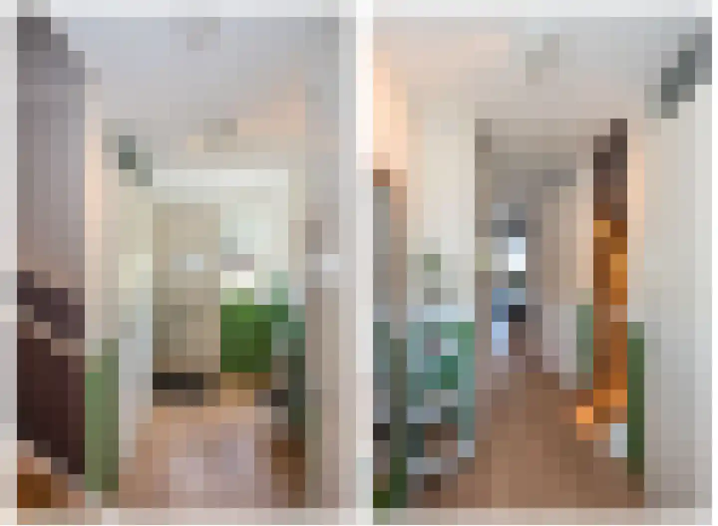 Fluitekruid 71 Rijssen thumbnail 9