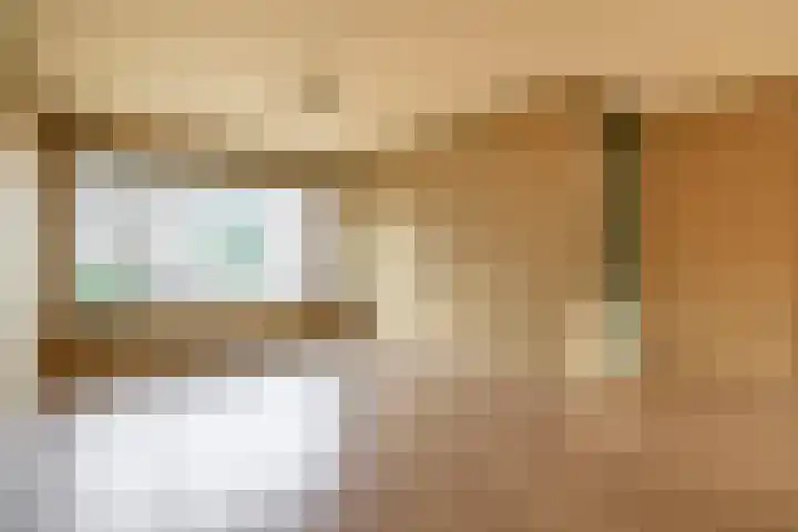 Fluitekruid 73 Rotterdam thumbnail 11