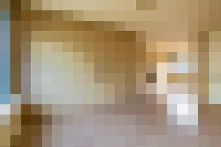 Fluitekruid 73 Rotterdam thumbnail 13