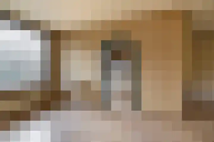 Fluitekruid 73 Rotterdam thumbnail 15