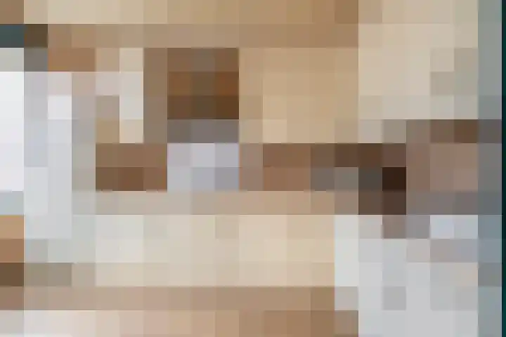 Fluitekruid 73 Rotterdam thumbnail 17