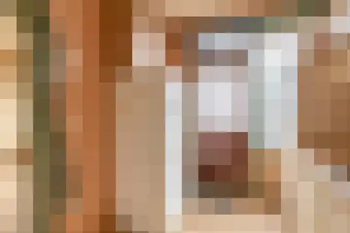 Fluitekruid 73 Rotterdam thumbnail 20