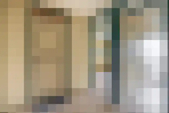 Fluitekruid 73 Rotterdam thumbnail 22