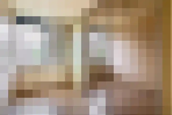 Fluitekruid 73 Rotterdam thumbnail 27