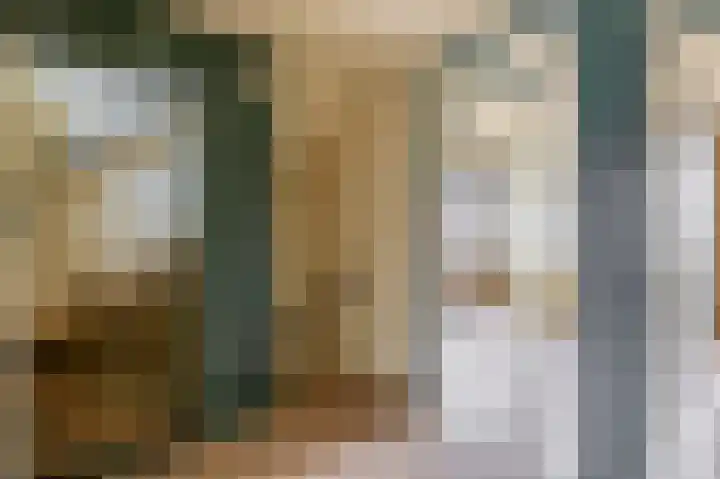 Fluitekruid 73 Rotterdam thumbnail 31