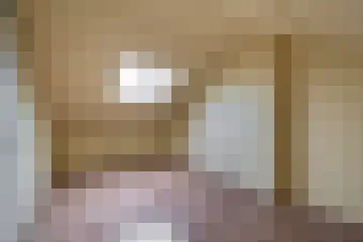 Fluitekruid 73 Rotterdam thumbnail 34