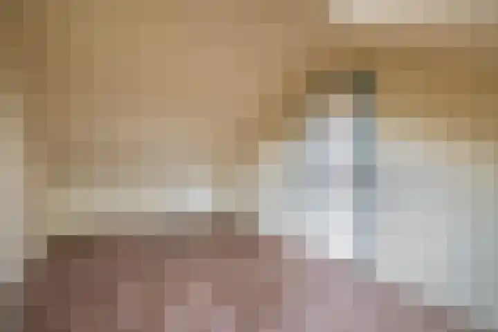 Fluitekruid 73 Rotterdam thumbnail 35