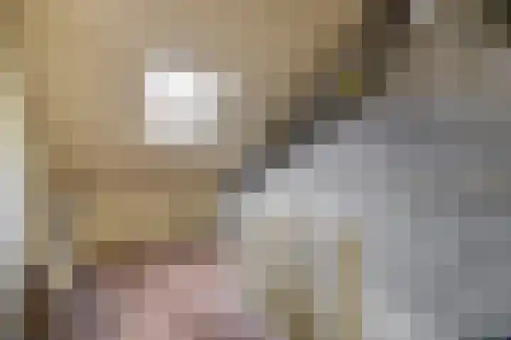 Fluitekruid 73 Rotterdam thumbnail 36