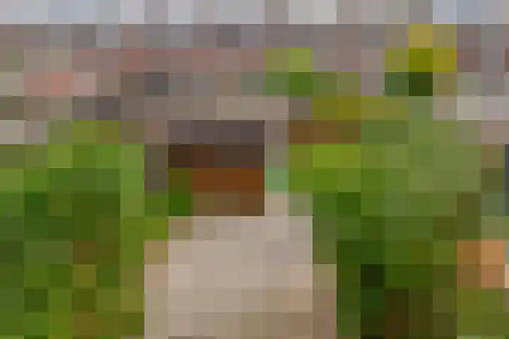 Fluitekruid 73 Rotterdam thumbnail 37
