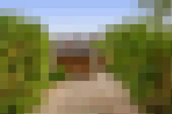 Fluitekruid 73 Rotterdam thumbnail 38