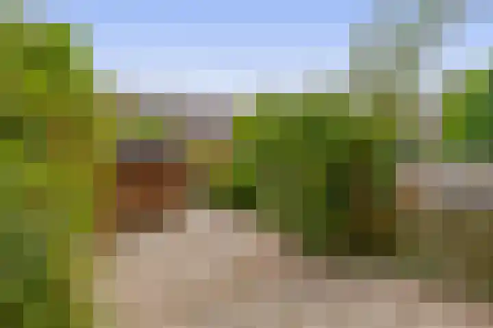 Fluitekruid 73 Rotterdam thumbnail 39