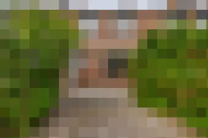 Fluitekruid 73 Rotterdam thumbnail 41