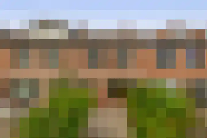 Fluitekruid 73 Rotterdam thumbnail 42