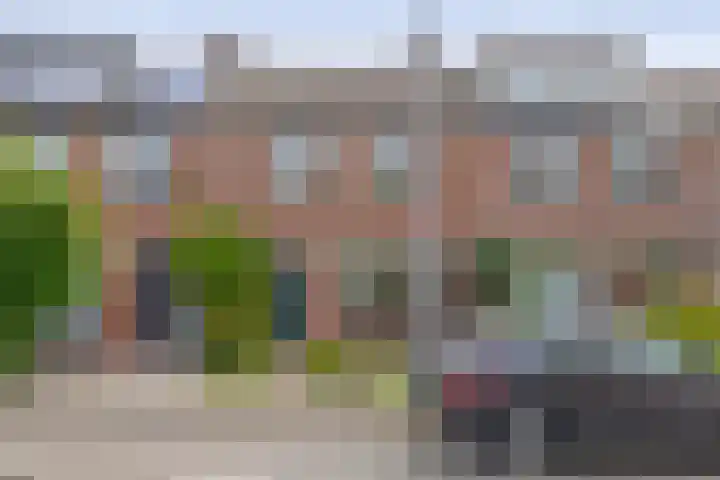 Fluitekruid 73 Rotterdam thumbnail 43