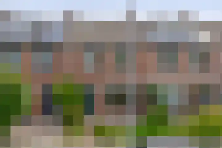 Fluitekruid 73 Rotterdam thumbnail 44