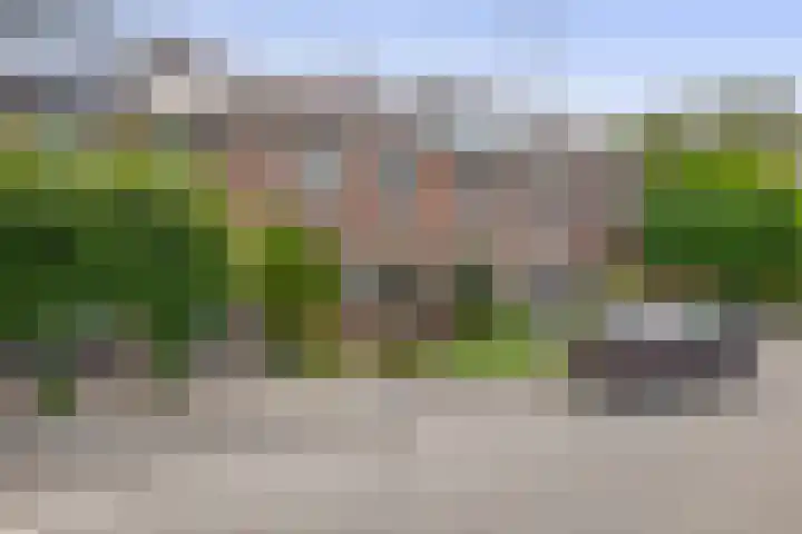 Fluitekruid 73 Rotterdam thumbnail 45