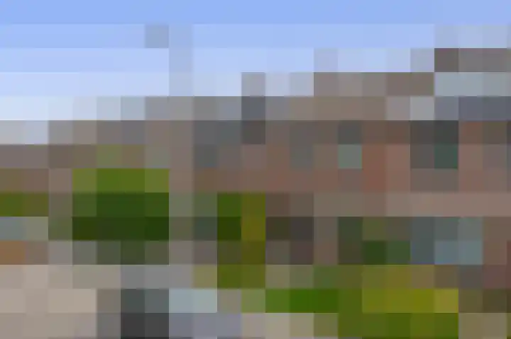 Fluitekruid 73 Rotterdam thumbnail 48