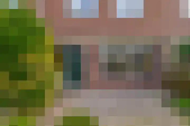 Fluitekruid 73 Rotterdam thumbnail 5