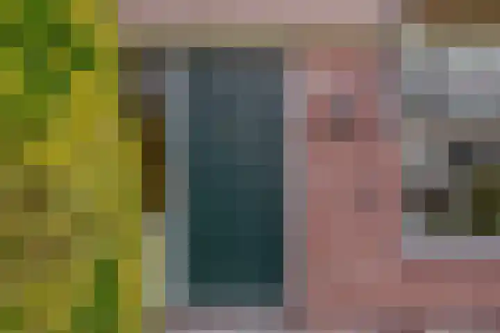 Fluitekruid 73 Rotterdam thumbnail 6