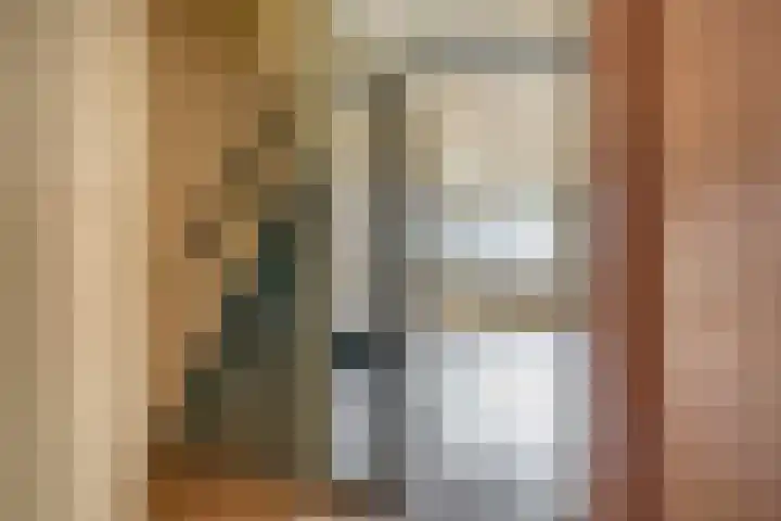 Fluitekruid 73 Rotterdam thumbnail 8