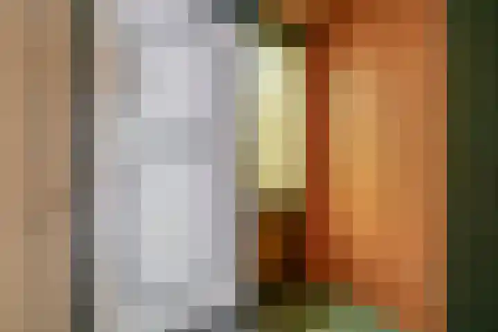 Fluitekruid 73 Rotterdam thumbnail 9