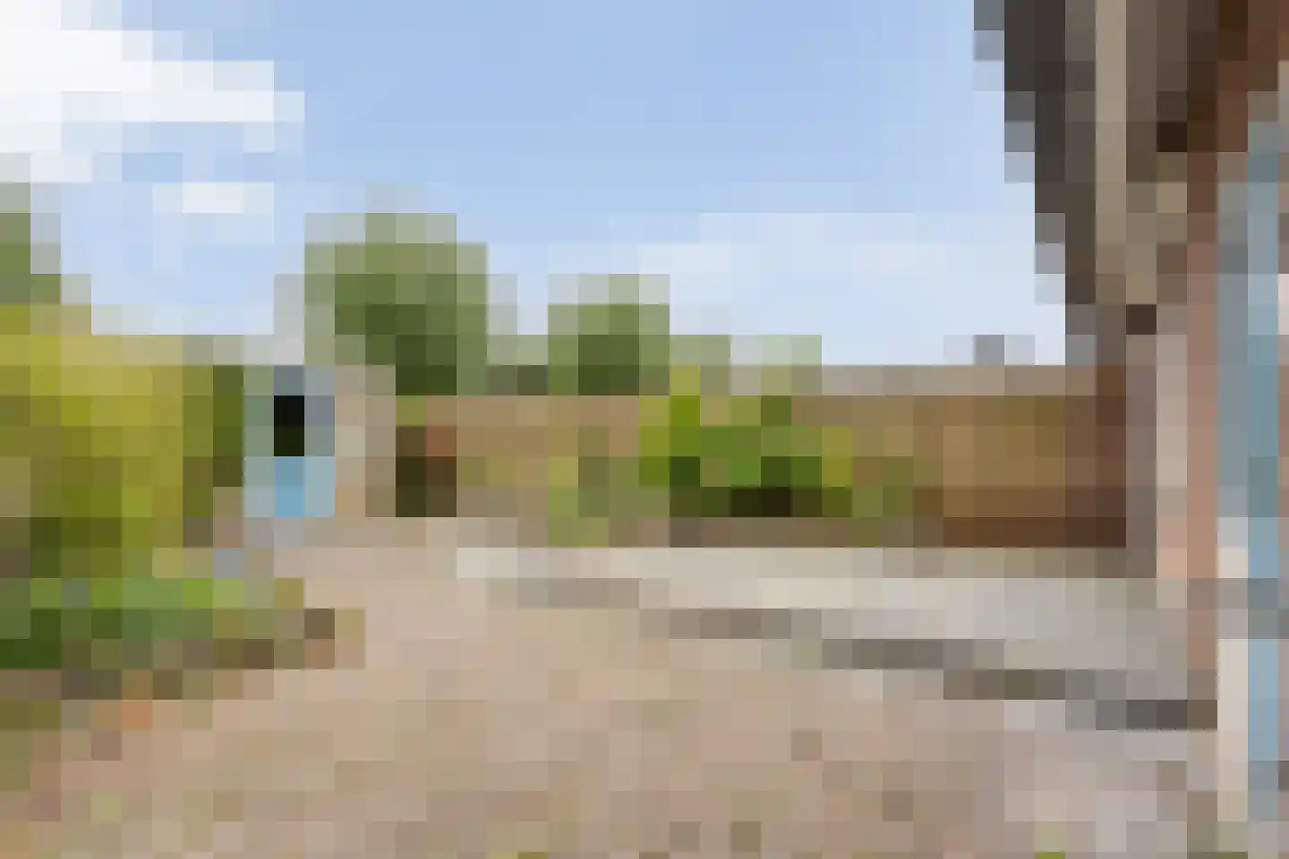 Fluitekruid 8 Heino thumbnail 23