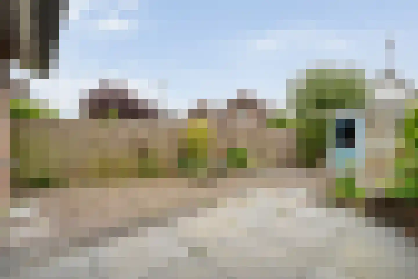 Fluitekruid 8 Heino thumbnail 24