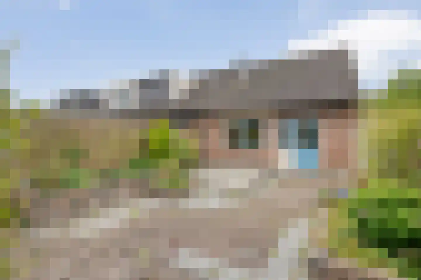 Fluitekruid 8 Heino thumbnail 26
