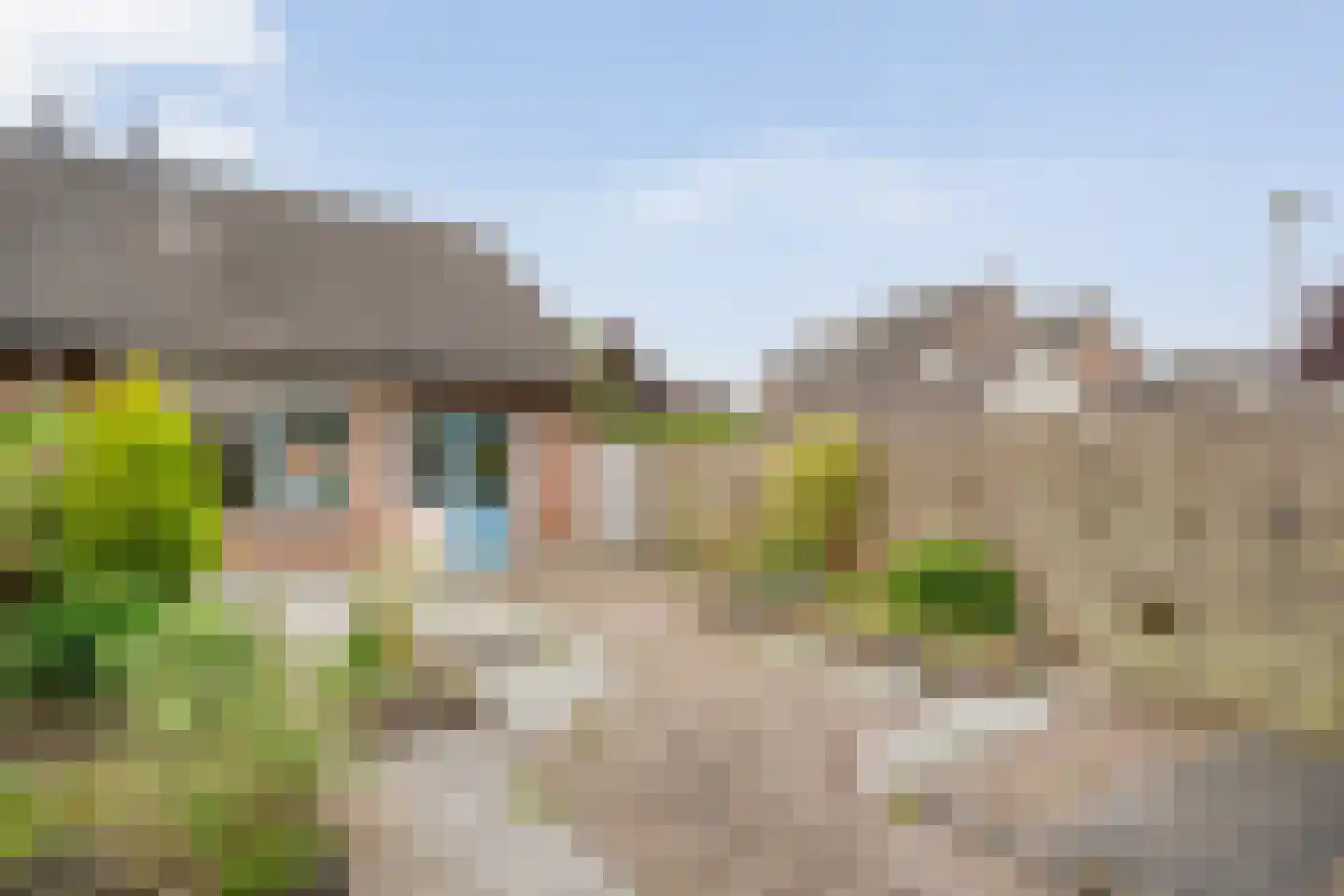 Fluitekruid 8 Heino thumbnail 27