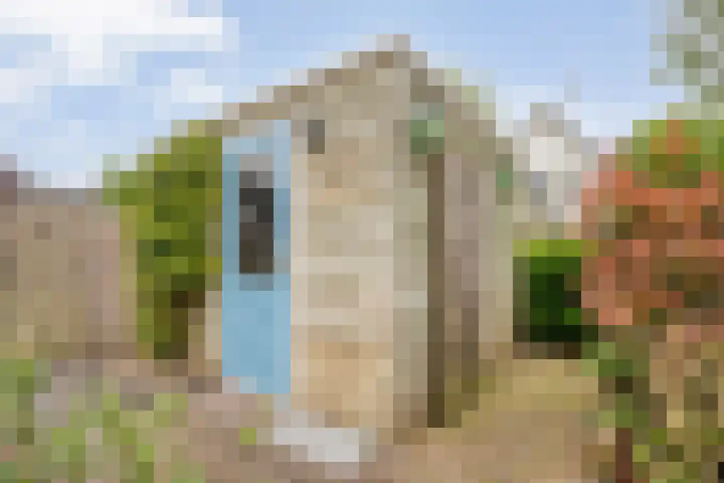 Fluitekruid 8 Heino thumbnail 28