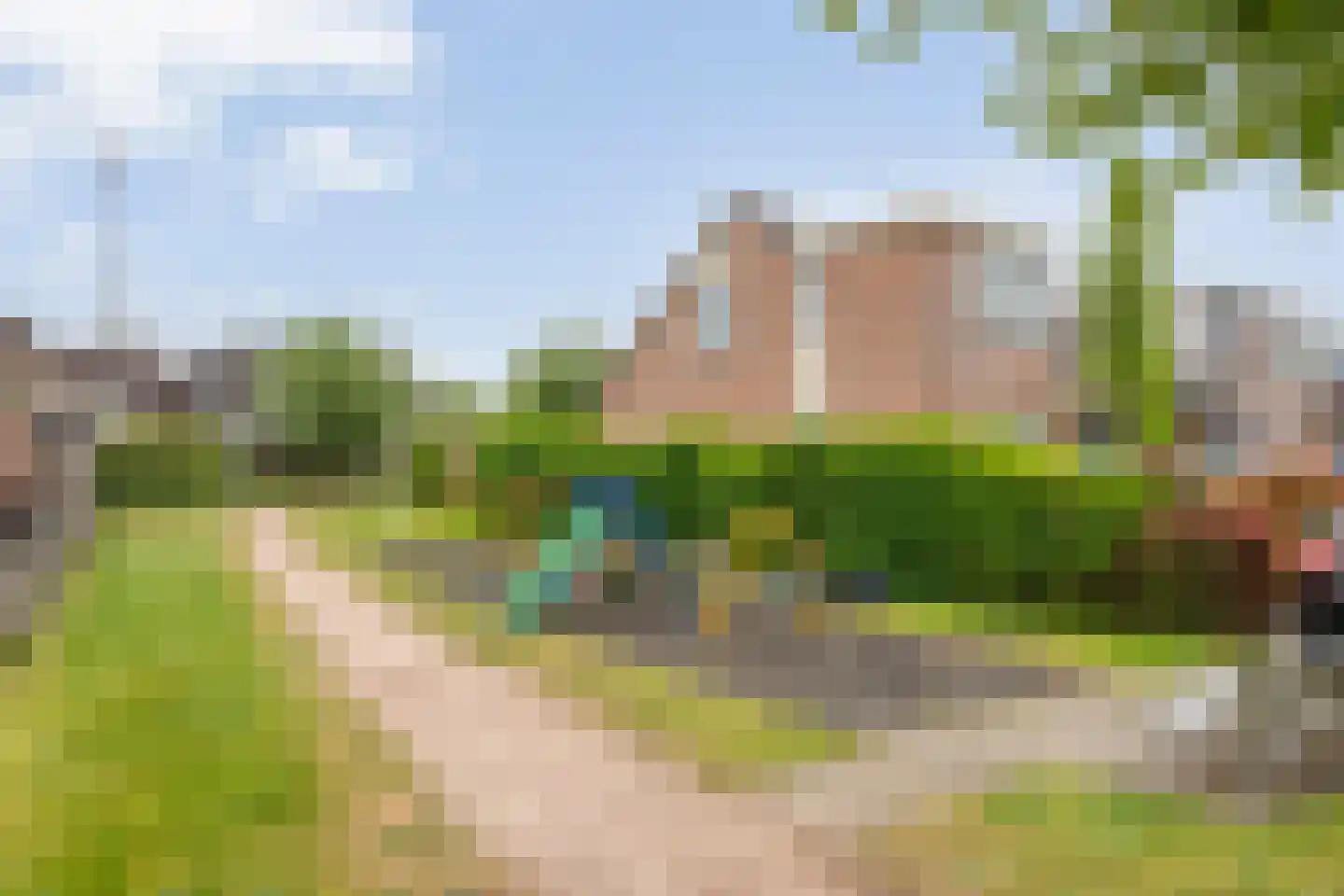 Fluitekruid 8 Heino thumbnail 30