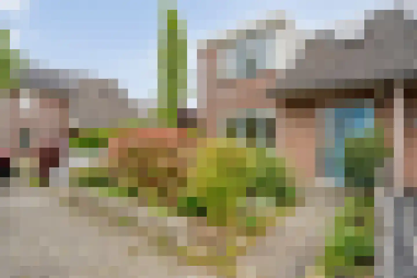 Fluitekruid 8 Heino thumbnail 4