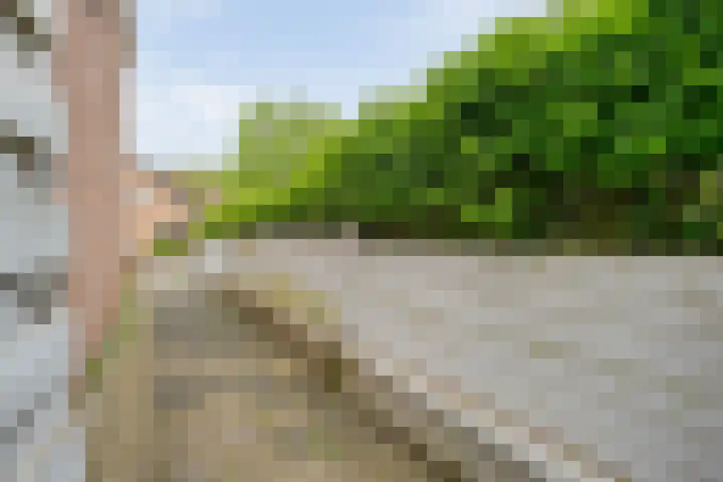 Fluitekruid 8 Heino thumbnail 5