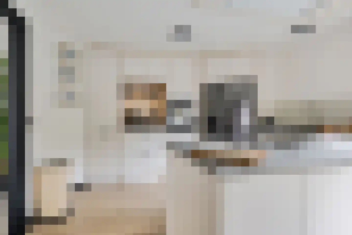 Fluitekruid 83 Klazienaveen thumbnail 11