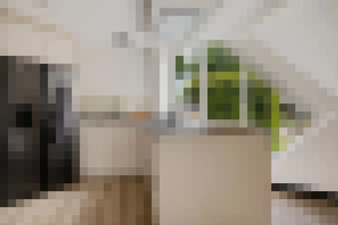 Fluitekruid 83 Klazienaveen thumbnail 12