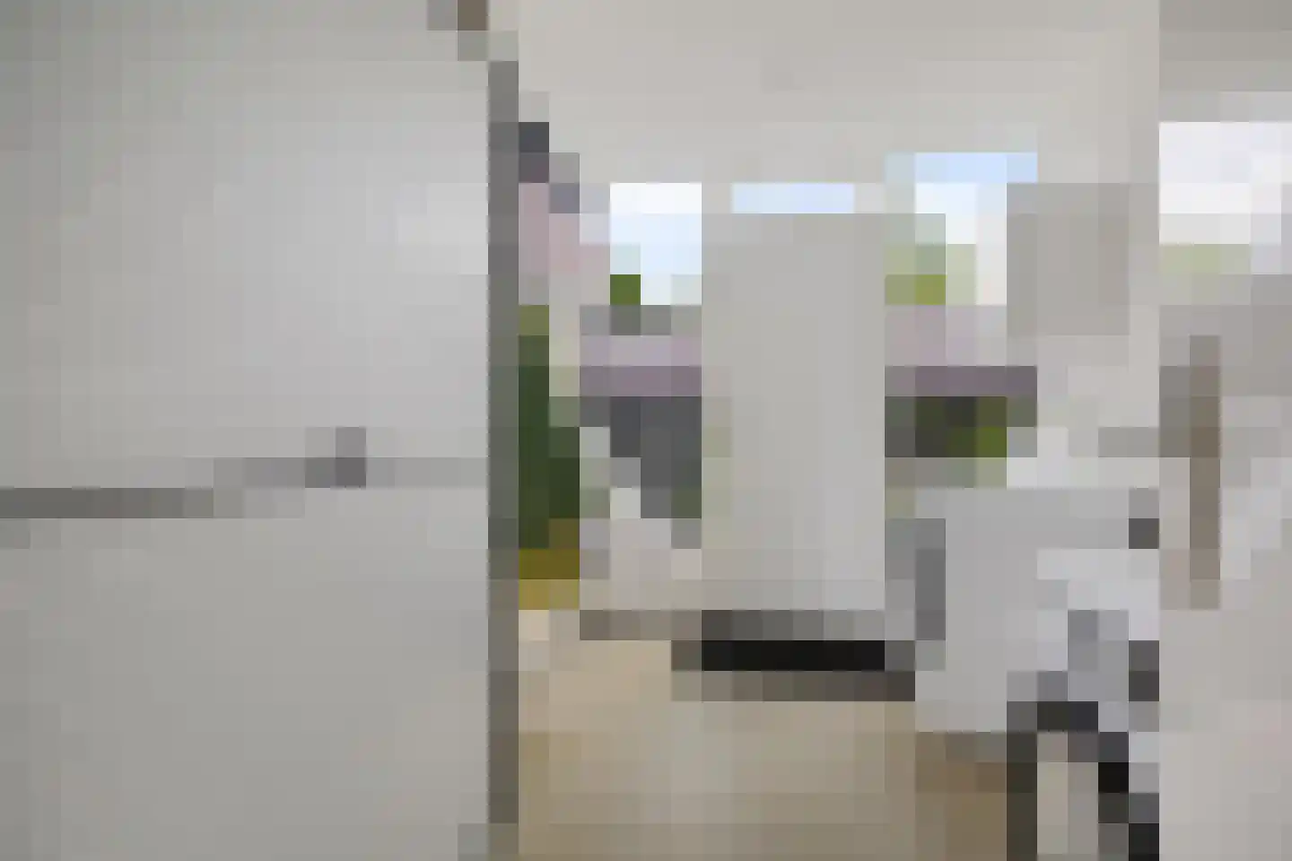 Fluitekruid 83 Klazienaveen thumbnail 14