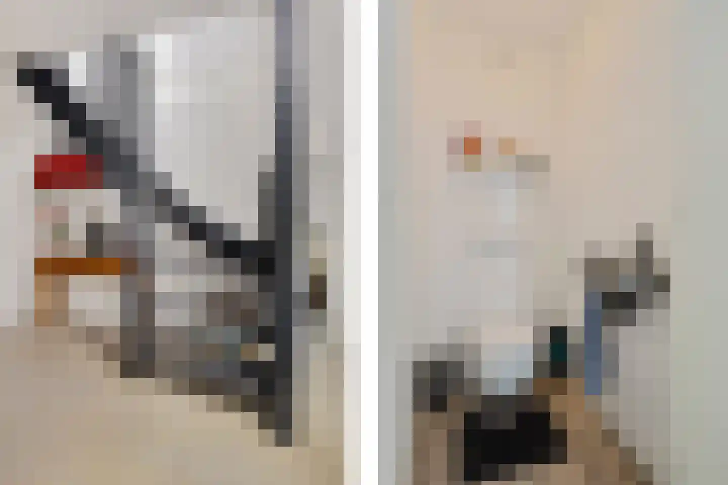 Fluitekruid 83 Klazienaveen thumbnail 16