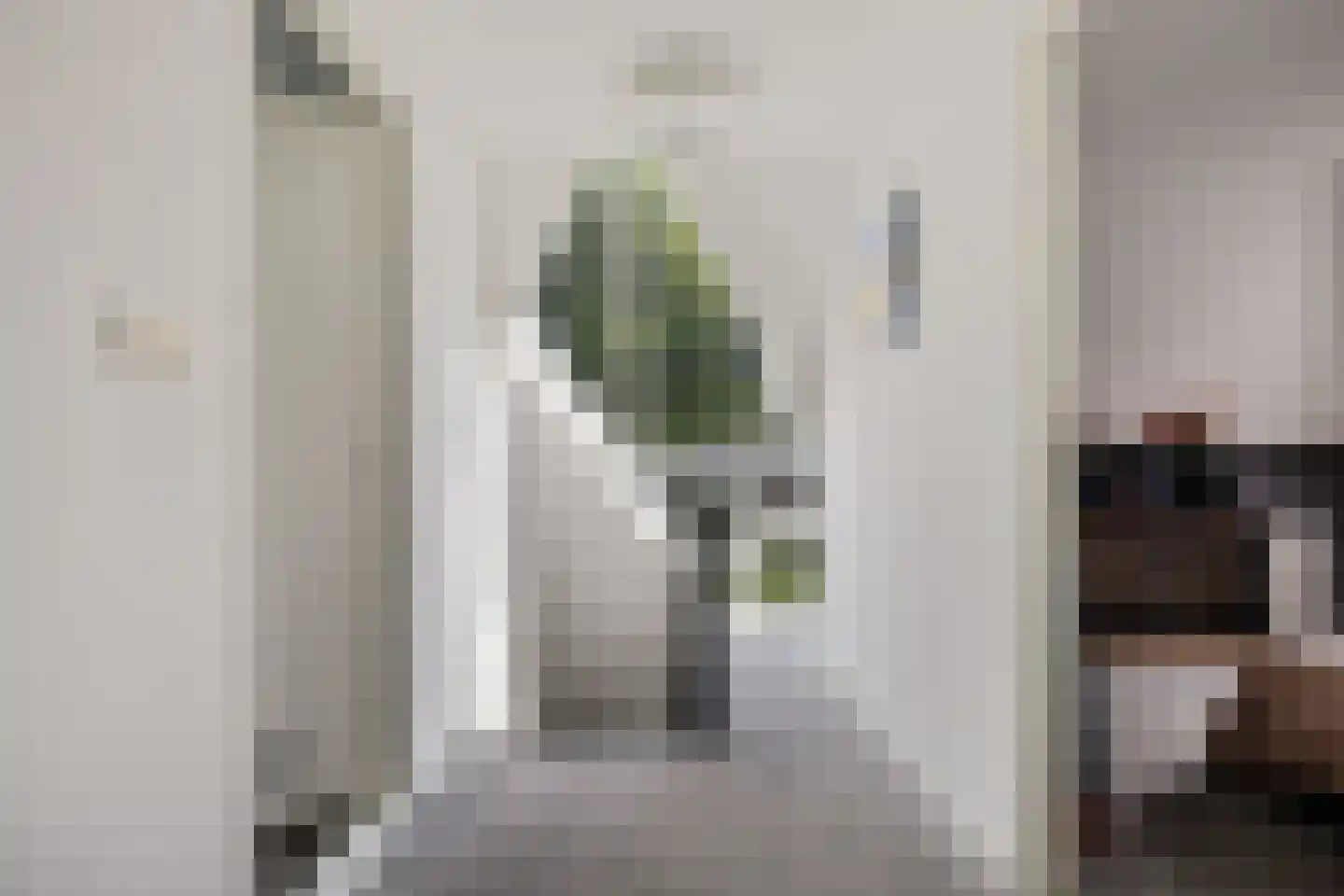 Fluitekruid 83 Klazienaveen thumbnail 17