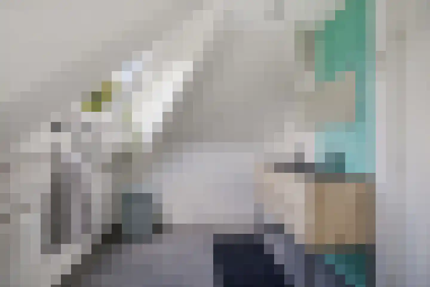 Fluitekruid 83 Klazienaveen thumbnail 20