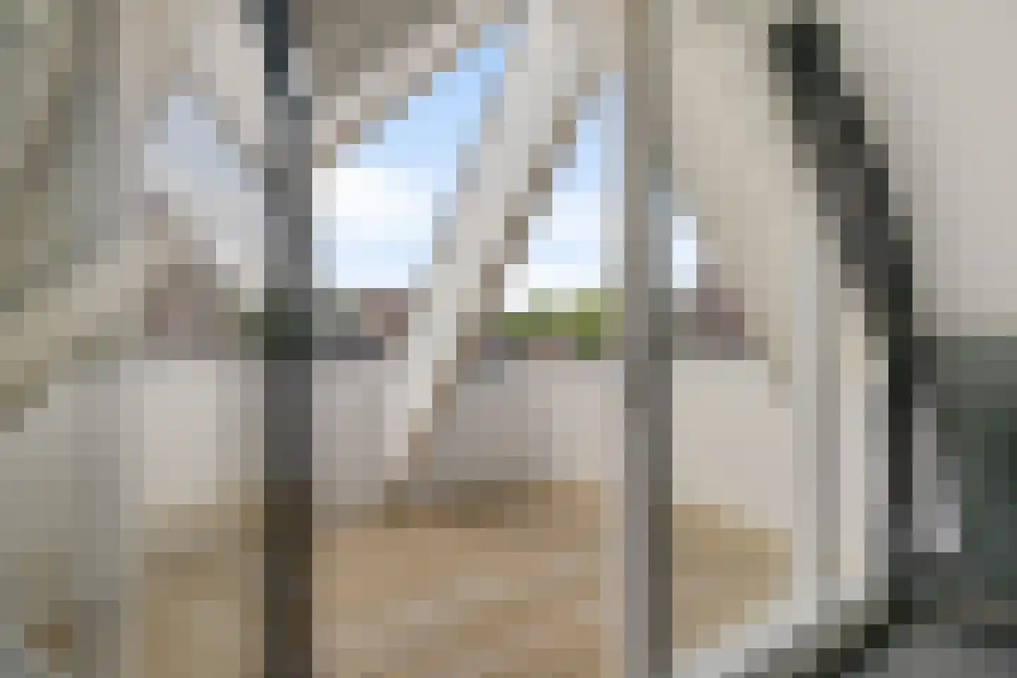 Fluitekruid 83 Klazienaveen thumbnail 26