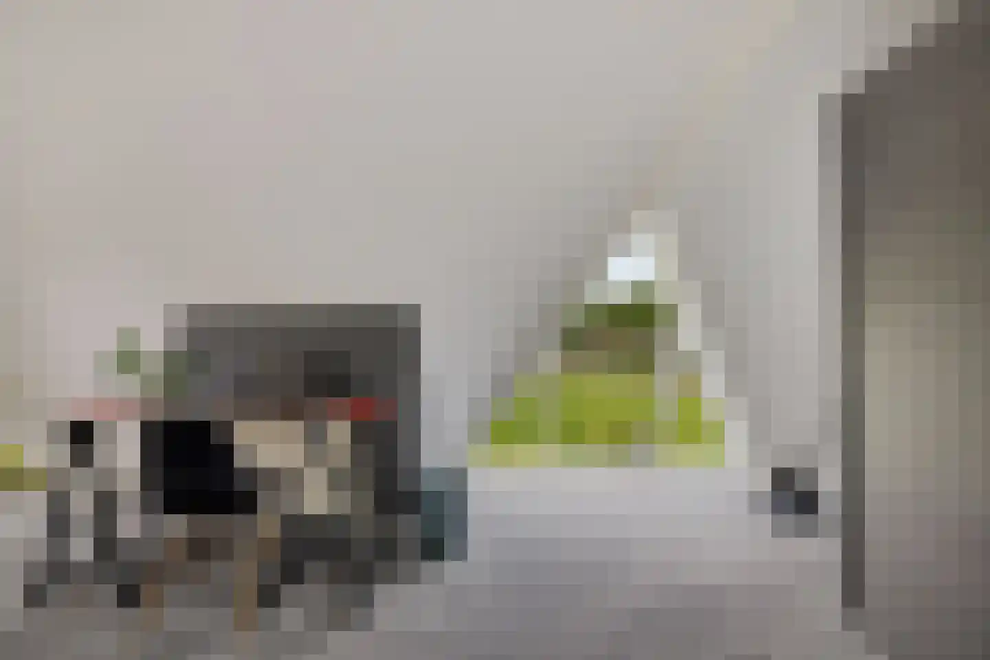 Fluitekruid 83 Klazienaveen thumbnail 28